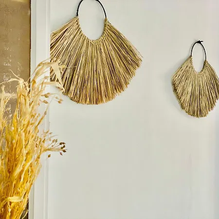 Canaryislandshost L Surfer Famara